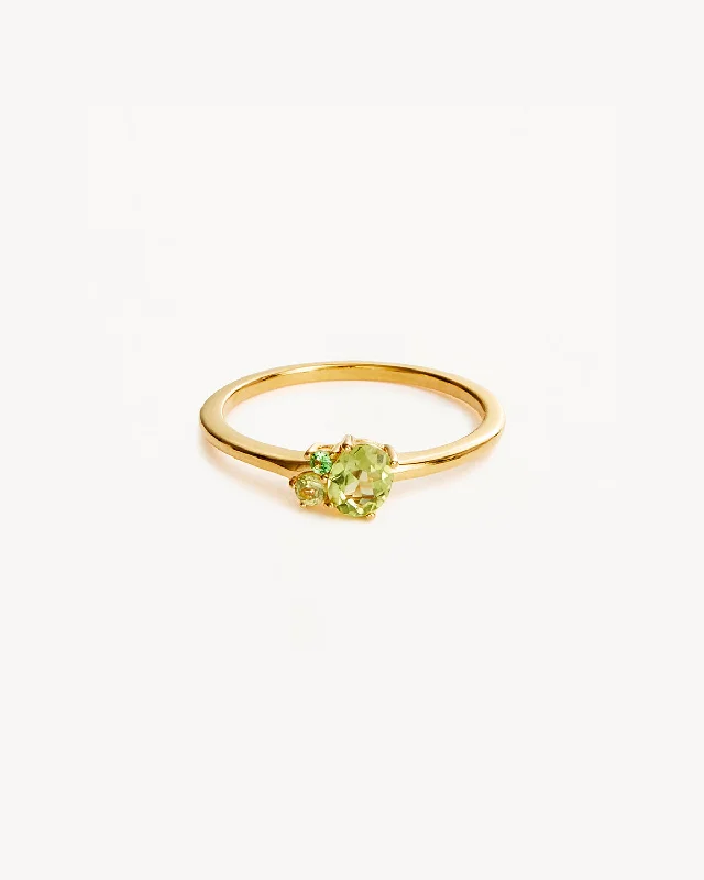 18k Gold Vermeil Kindred Birthstone Ring - August