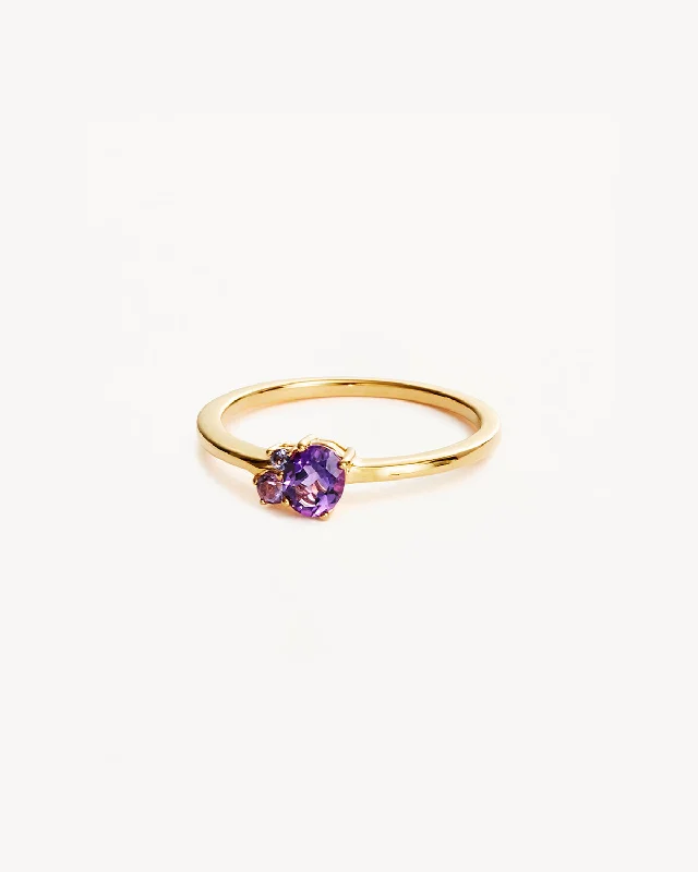 18k Gold Vermeil Kindred Birthstone Ring - February